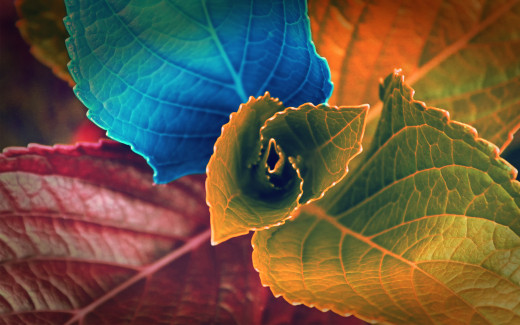 862206 (a): :1920x1200
